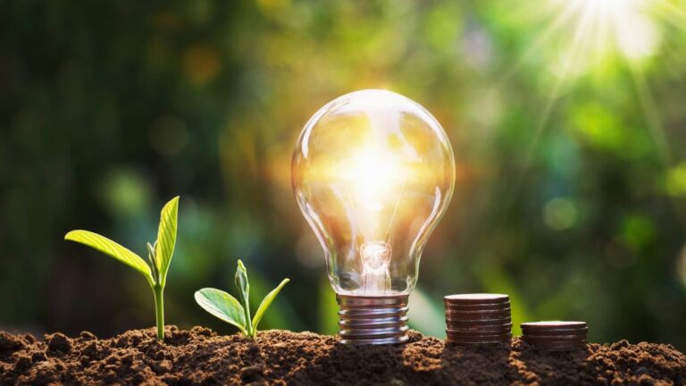 Ways to manage energy consumption in your business
